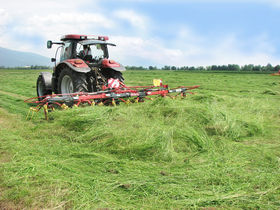 Rozmital OZ676 6 rotor tedder - 